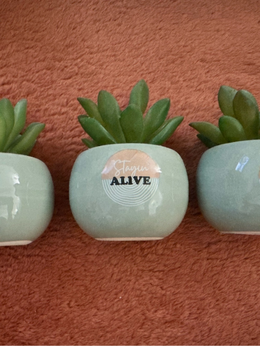 Faux Succulent in Mint Green Ceramic Planter